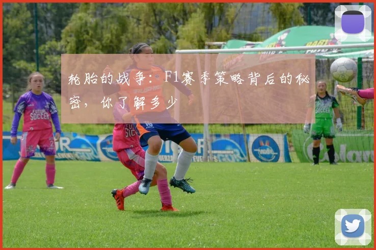 轮胎的战争:F1赛季策略背后的秘密,你了解多少