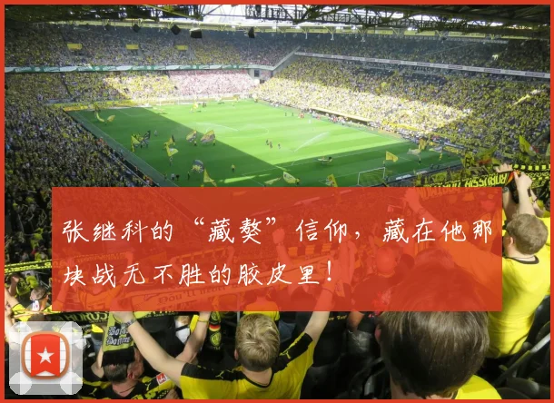张继科的“藏獒”信仰，藏在他那块战无不胜的胶皮里！