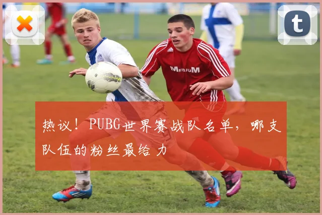 热议!PUBG世界赛战队名单,哪支队伍的粉丝最给力