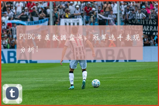 PUBG年度数据盘点,冠军选手表现分析!
