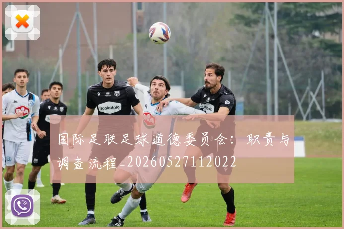 国际足联足球道德委员会：职责与调查流程_20260527112022