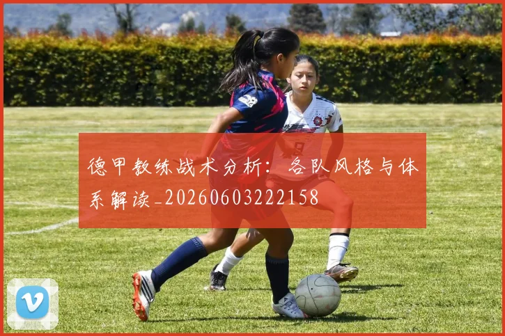 德甲教练战术分析:各队风格与体系解读_20260603222158