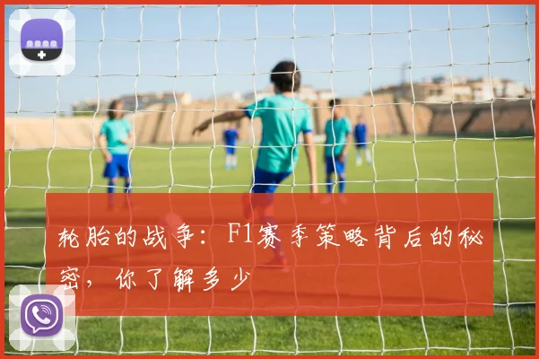 轮胎的战争：F1赛季策略背后的秘密，你了解多少