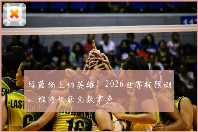 绿茵场上的英雄!2026世界杯预测,谁将收获无数掌声