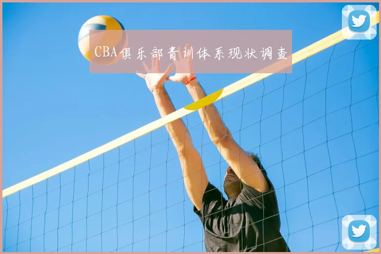CBA俱乐部青训体系现状调查